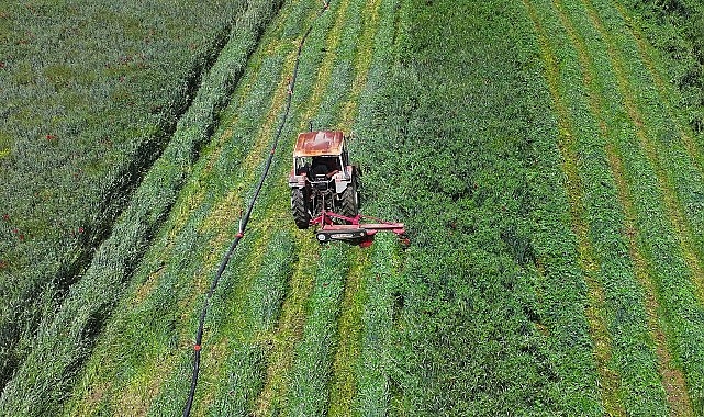 Konya Büyükşehir’in Macar Fiği Tohumu Dayanağı ile Ekilen Tarlalarda Hasat Yapıldı Lider Altay: “Çiftçimize Verdiğimiz Takviyelerle Ulusal İktisada Katma Bedel Sağlıyoruz”