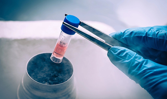 Ortopedide Kök Hücre İhtilali: Geleceğin Tedavi Sistemi