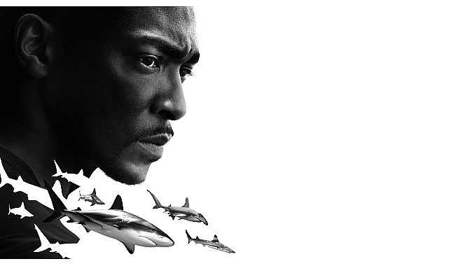 ‘Anthony Mackie ile Köpekbalıkları: Körfez Kıyıları’ 20 Temmuz Cumartesi 20.00’de National Geographic WILD Ekranlarında!