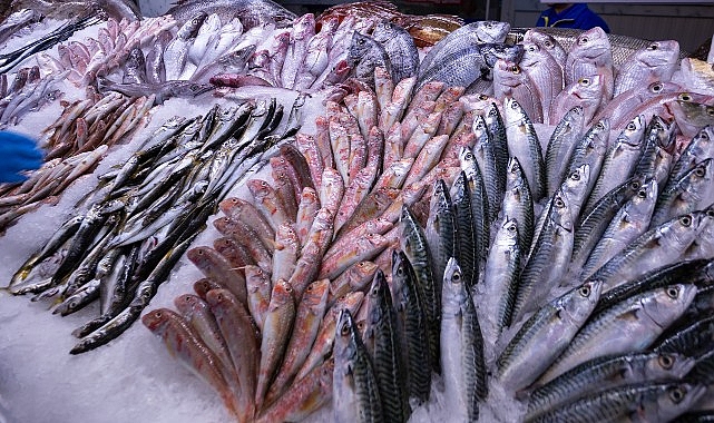Ağdan Tabağa İnançla Ulaşan Balıklar Yeni Dönemde da Metro Türkiye’de