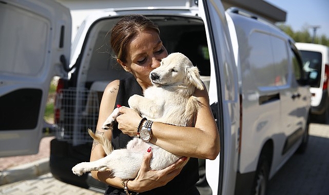Süreksiz Bakımevi ve Rehabilitasyon Merkezi’nde sahiplendirme yoğunluğu