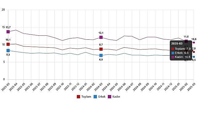 İşgücü İstatistikleri, Mart 2025