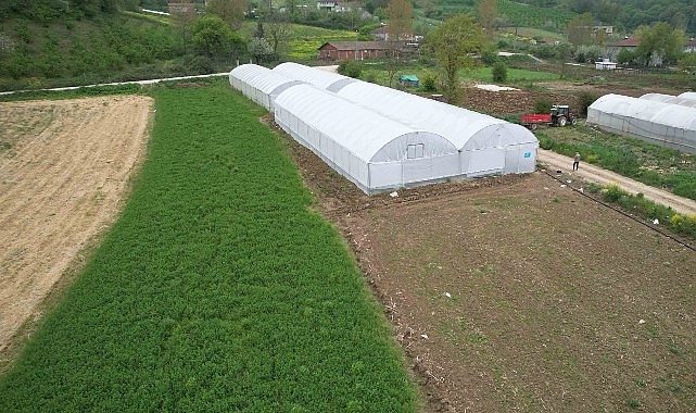 Kocaeli’nde tarım büyüyor, seracılık gelişiyor