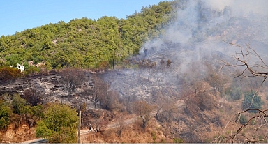 Başkan Vekili Özdemir yangın bölgesinde