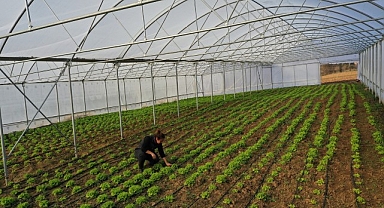 Büyükşehir’den çiftçilere modern sera desteği