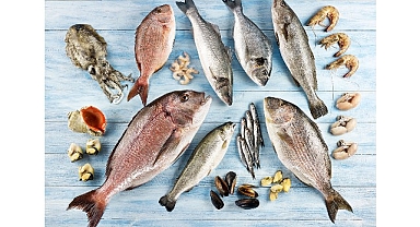 Su ürünleri ve hayvansal mamuller ihracatının yüzde 47’si Ege Bölgesi’nden yapıldı